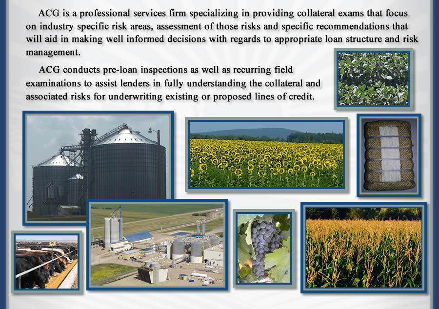 ACG is a professional services firm specializing in providing collateral exams that focus on industry specific risk areas, assessment of those risks and specific recommendations that will aid in making well informed decisions with regards to appropriate loan structure and risk management.
ACG conducts pre-loan inspections as well as recurring field examinations to assist lenders in fully understanding the collateral and associated risks for underwriting existing or proposed lines of credit.
